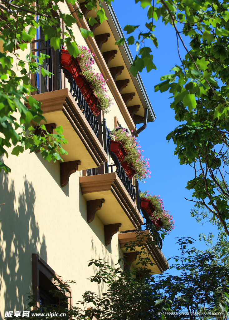 地产项目园林美图