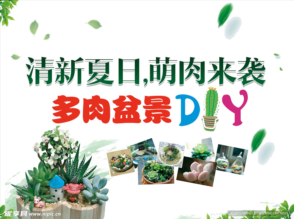多肉盆景 DIY