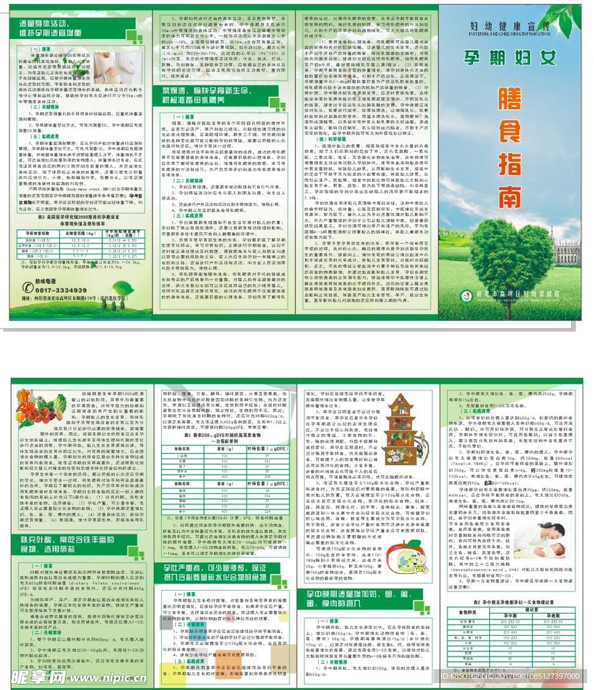 孕期妇女膳食指南