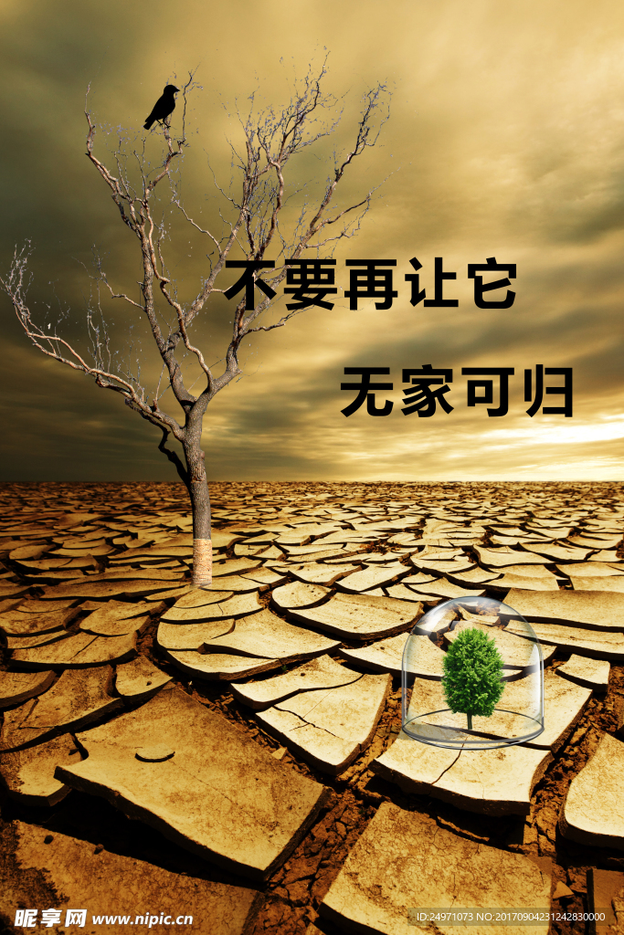 保护环境节约用水