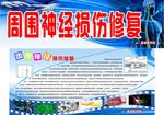 周围神经操伤修复展板