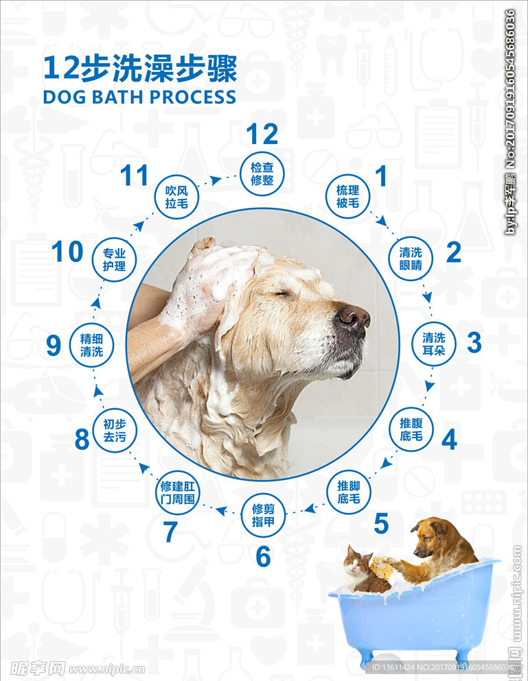 宠物12步洗澡步骤
