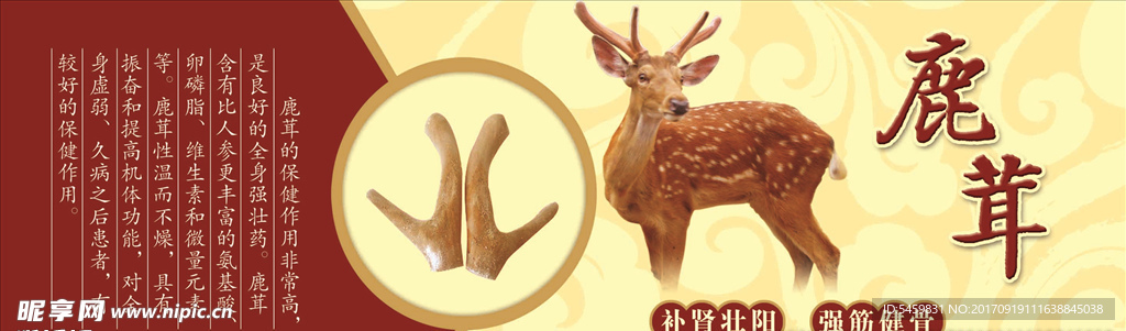 鹿茸广告宣传