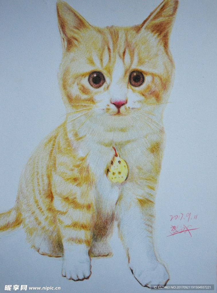 手绘彩铅小猫
