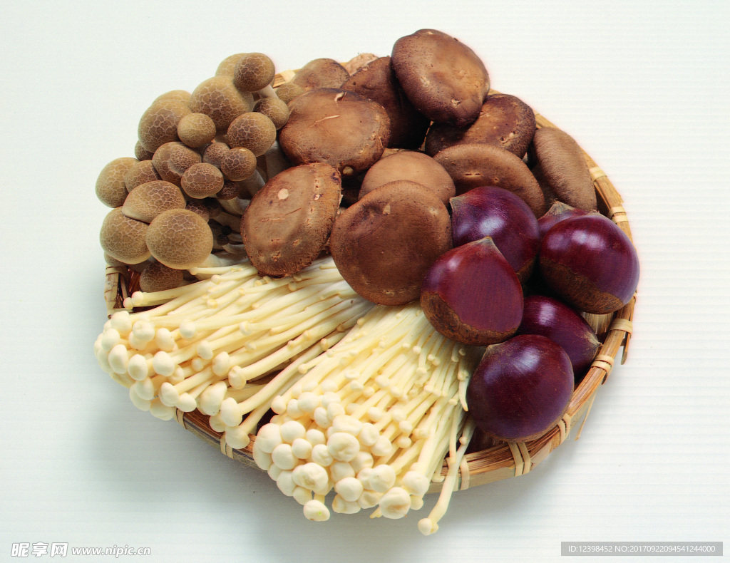 各种各样的蘑菇