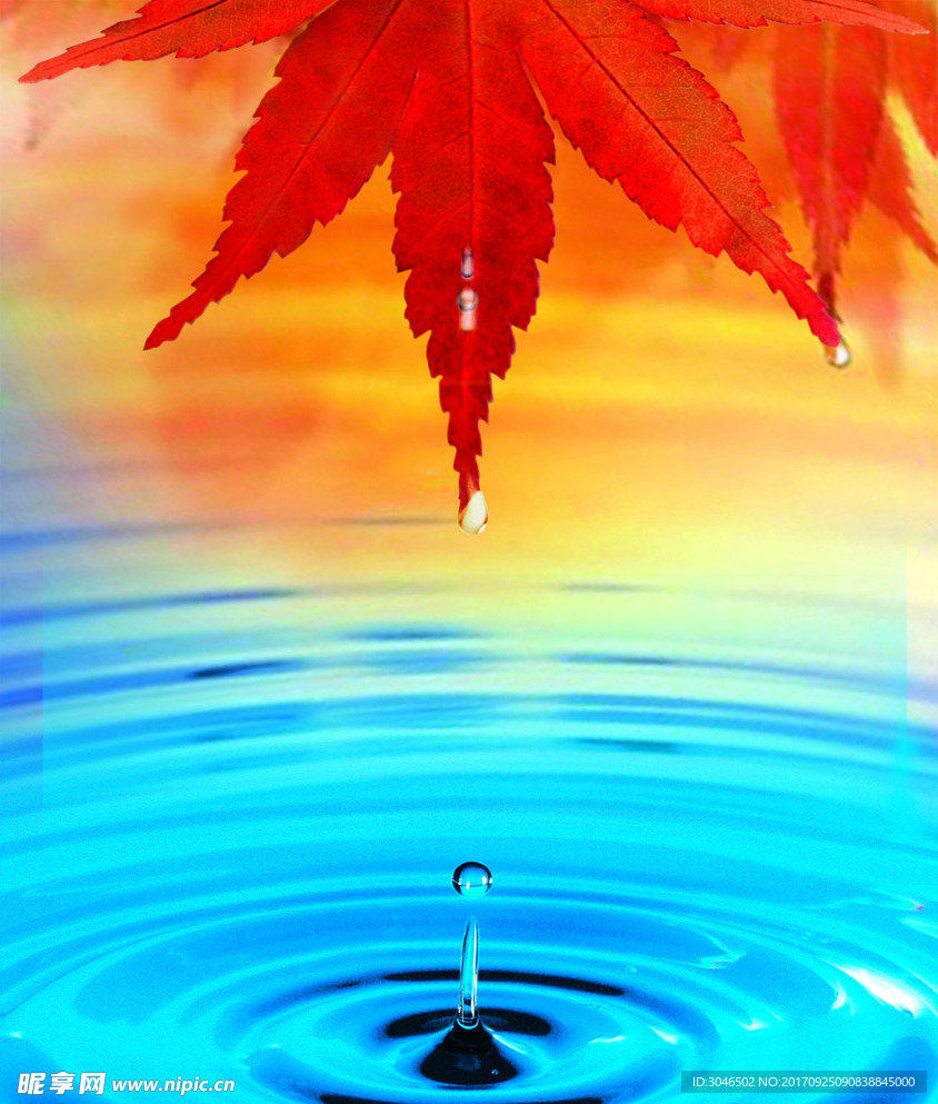 枫叶水滴