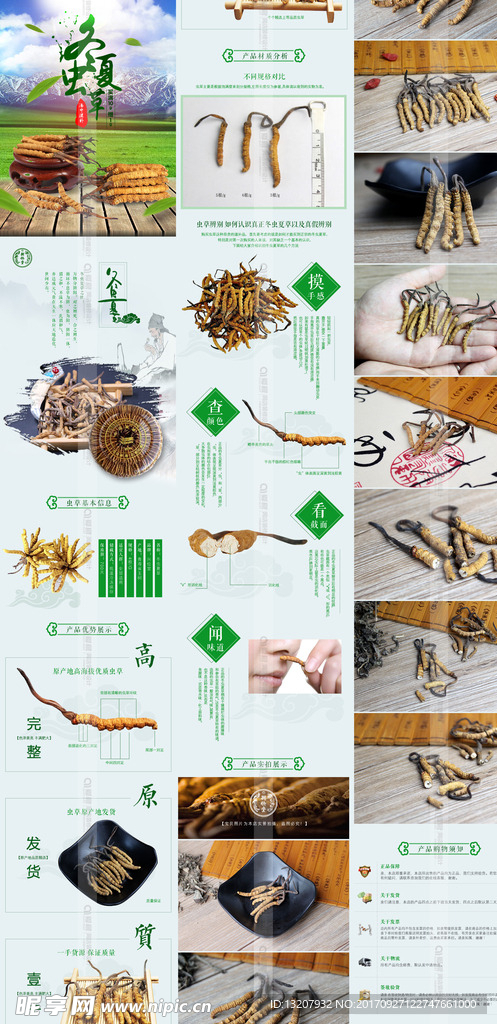 冬虫夏草淘宝详情