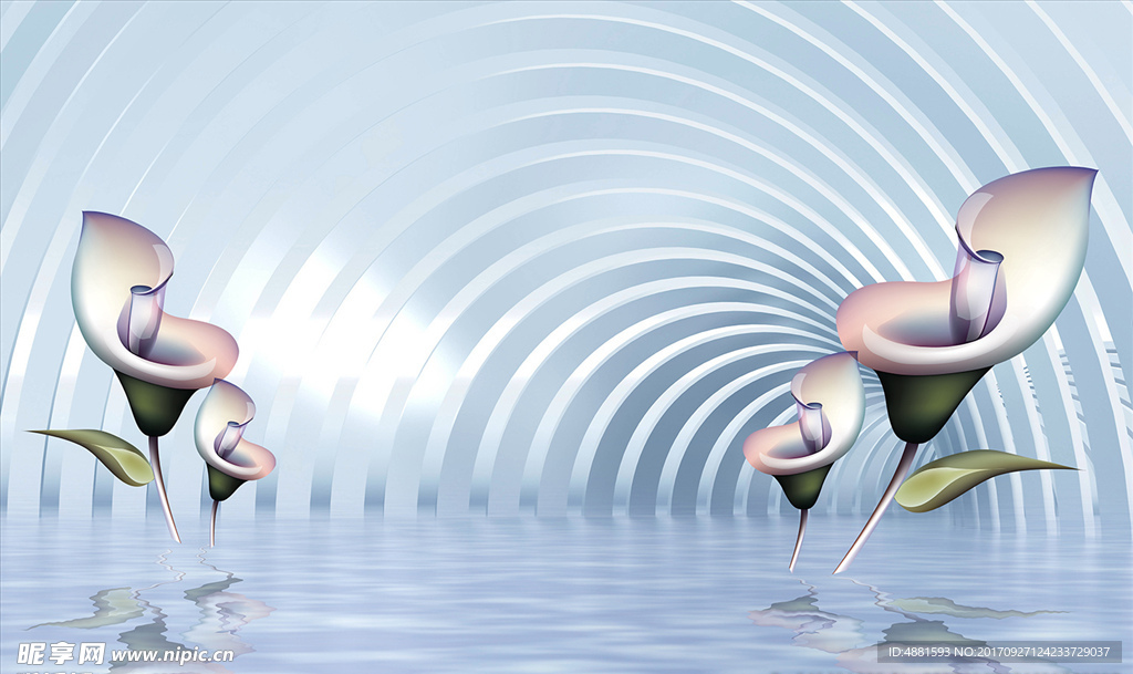 马蹄莲立体背景