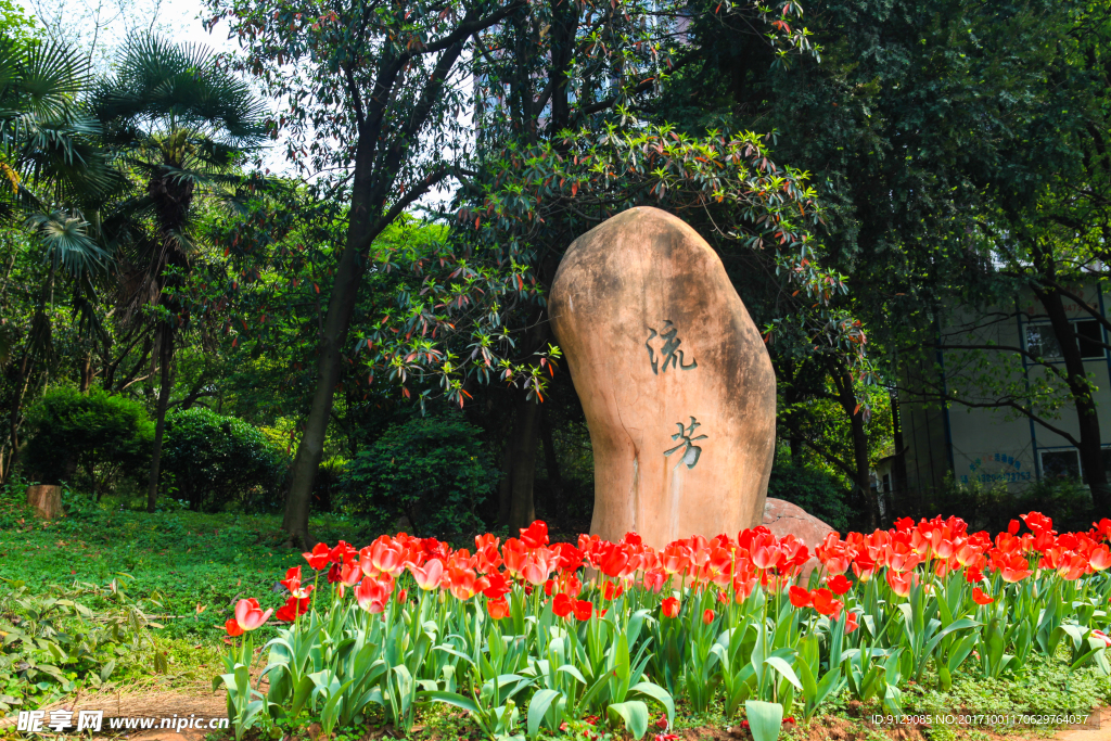 湖南省森林植物园