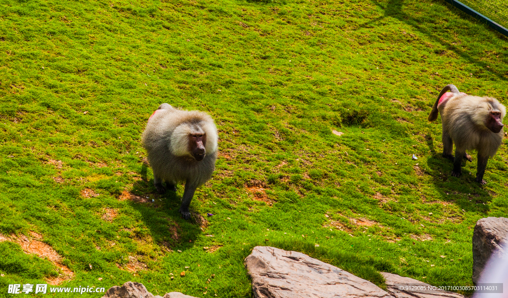 长沙生态动物园