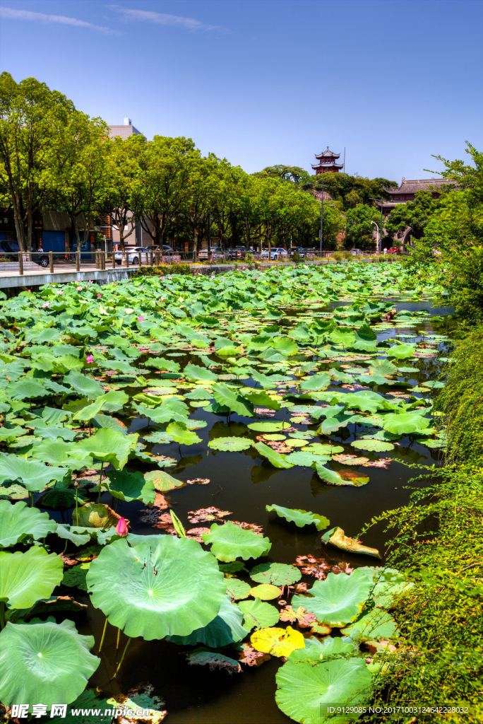 招宝山旅游风景区