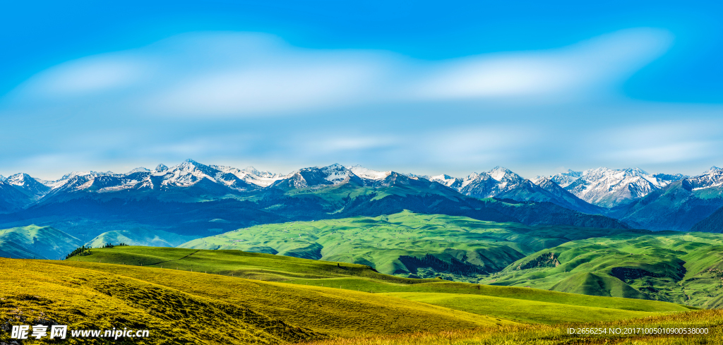 绿色草原雪山山脉