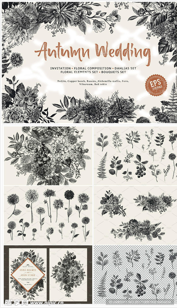 手绘秋季黑白鲜花花朵花卉树叶