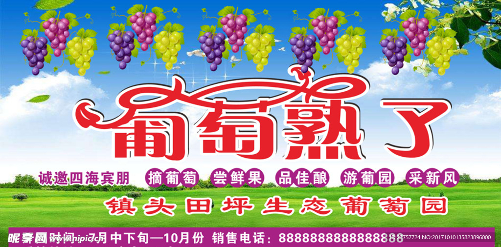 葡萄熟了广告
