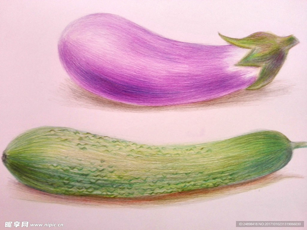小黄瓜彩铅画