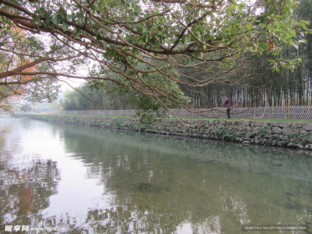 美丽乡村绿水山林