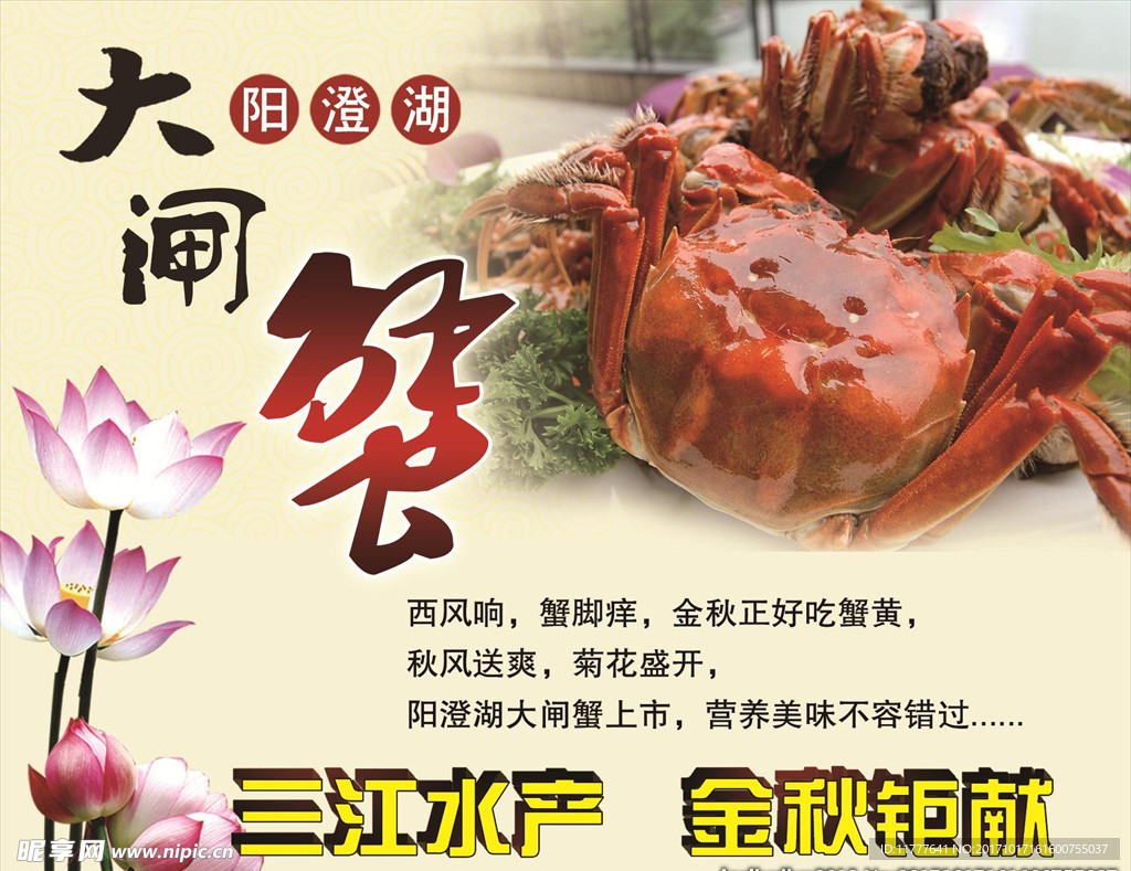 阳澄湖  大闸蟹