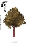 树 丹青