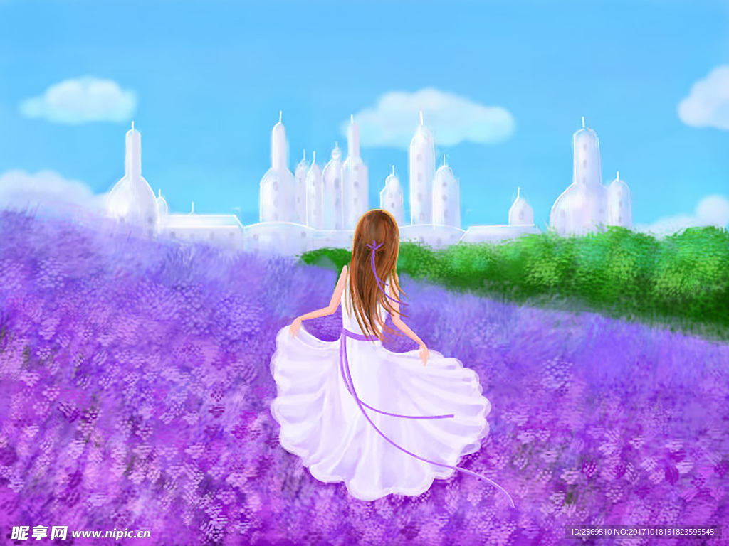 薰衣草场景插画