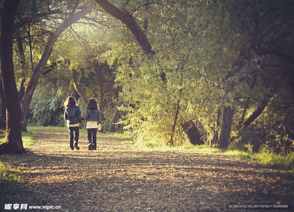 游走的乡村的道路上