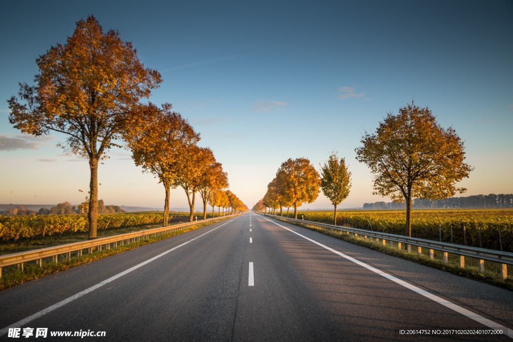 夕阳下的道路美景
