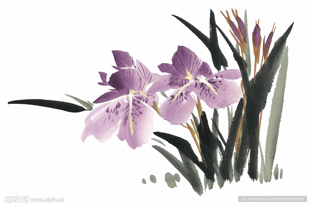 国画花卉图片  兰花  写意