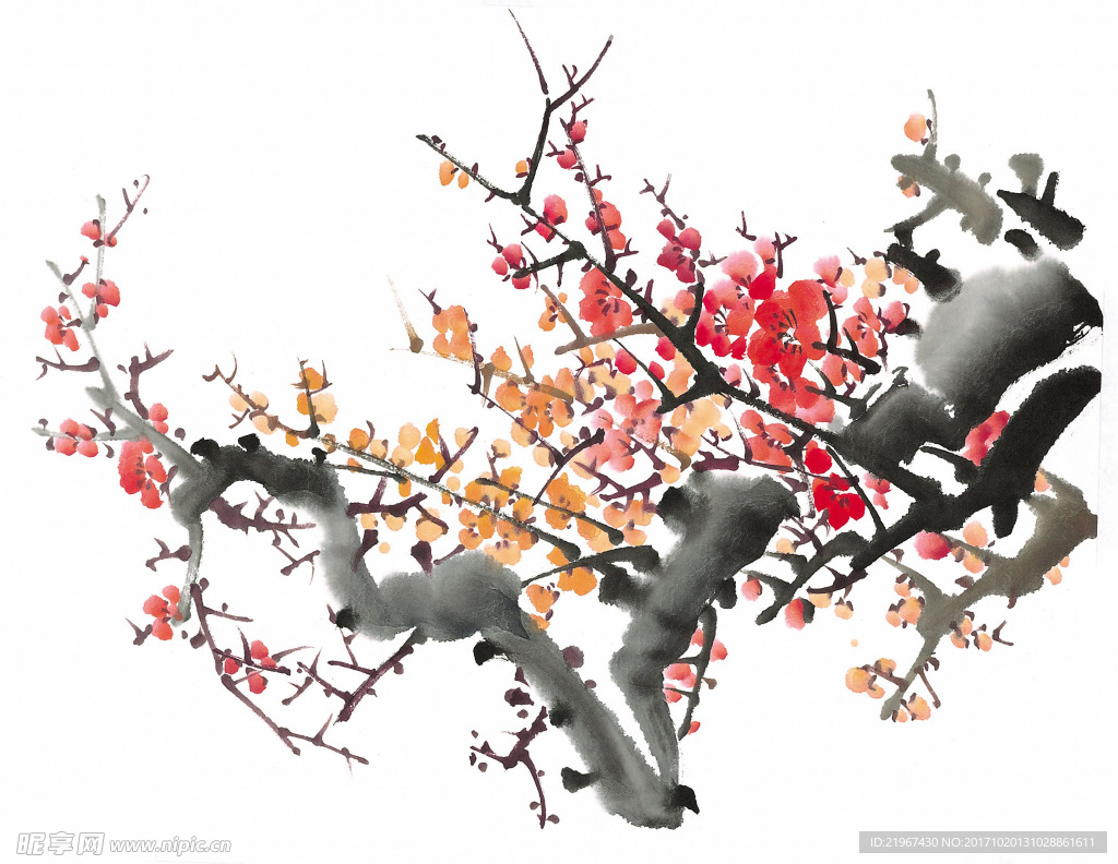 国画  梅花  腊梅