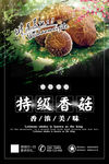 特级香菇香浓美味美食海报