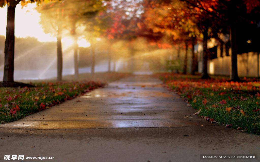 秋天的公园美景