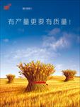 有产量有质量