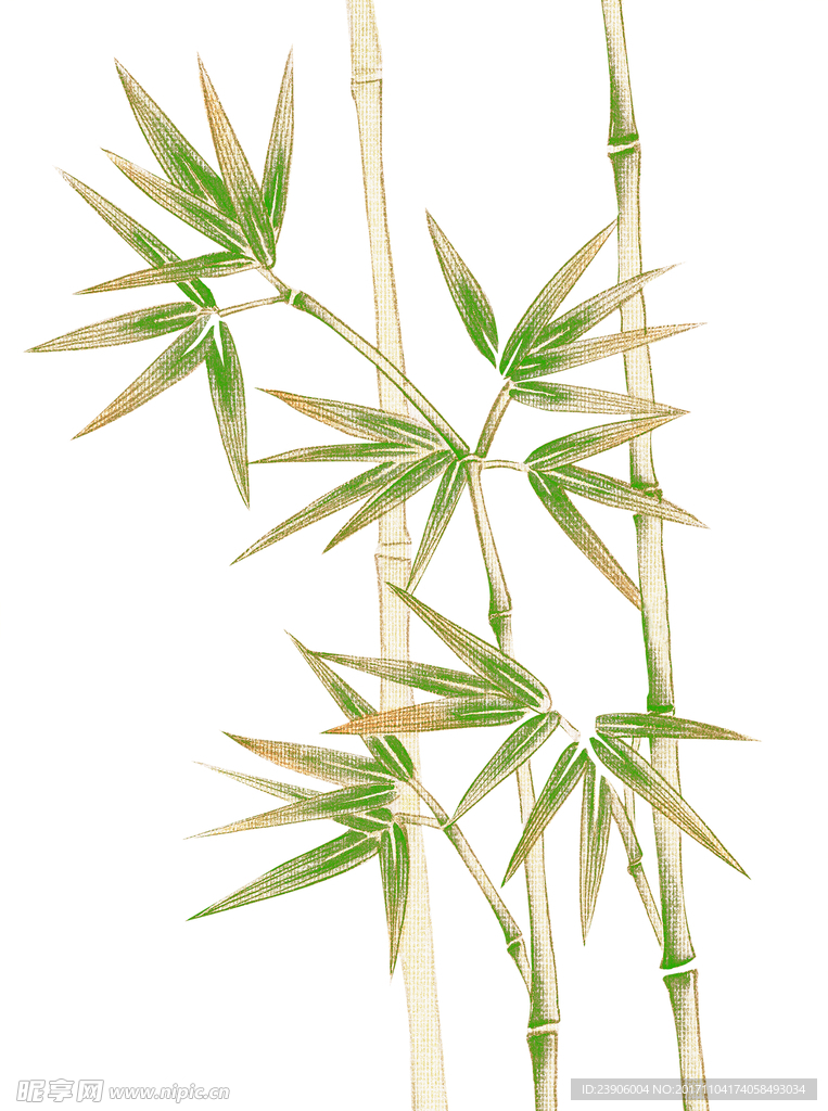 手绘 竹子