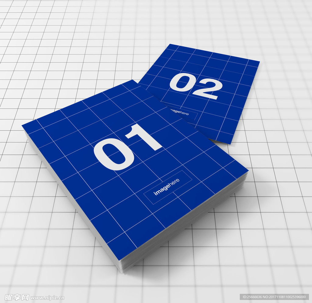 DM单页贴图 样机