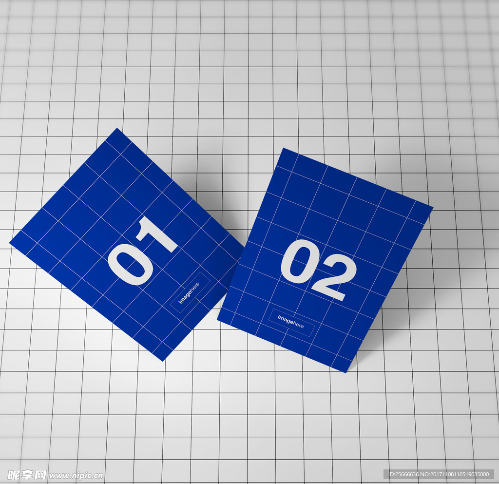 DM单页贴图 样机