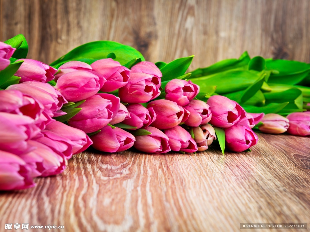 粉色郁金香花束