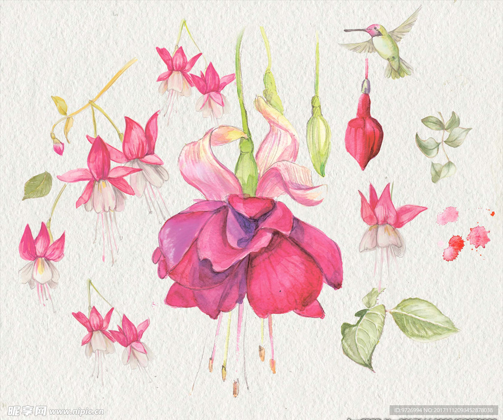 花朵花卉展板海报设计素材