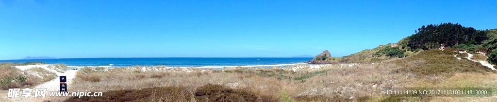 奥克兰海滨风光全景图