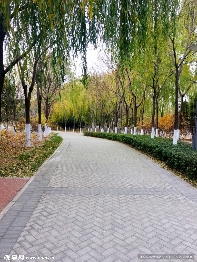 乡间小道   乡间小路