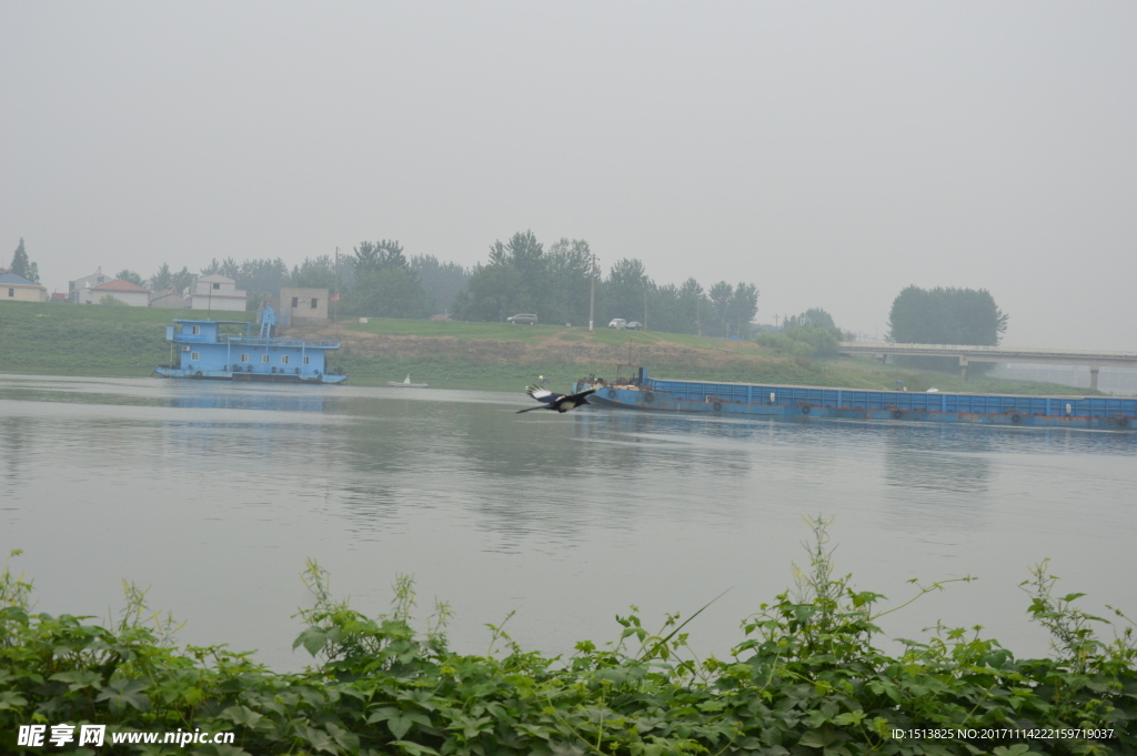 好像飞上船的小鸟