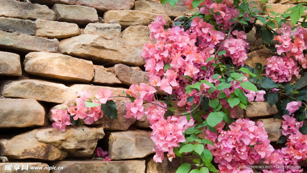高清壁纸 桌面 自然风光 风景