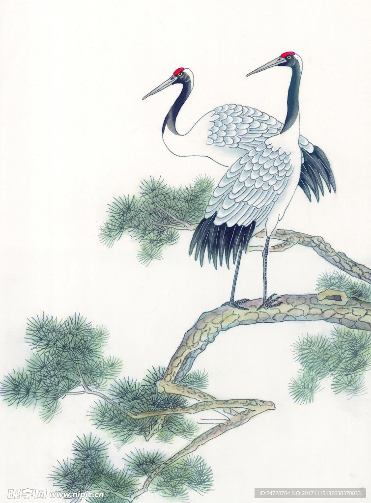 迎客松 白鹤 绘画