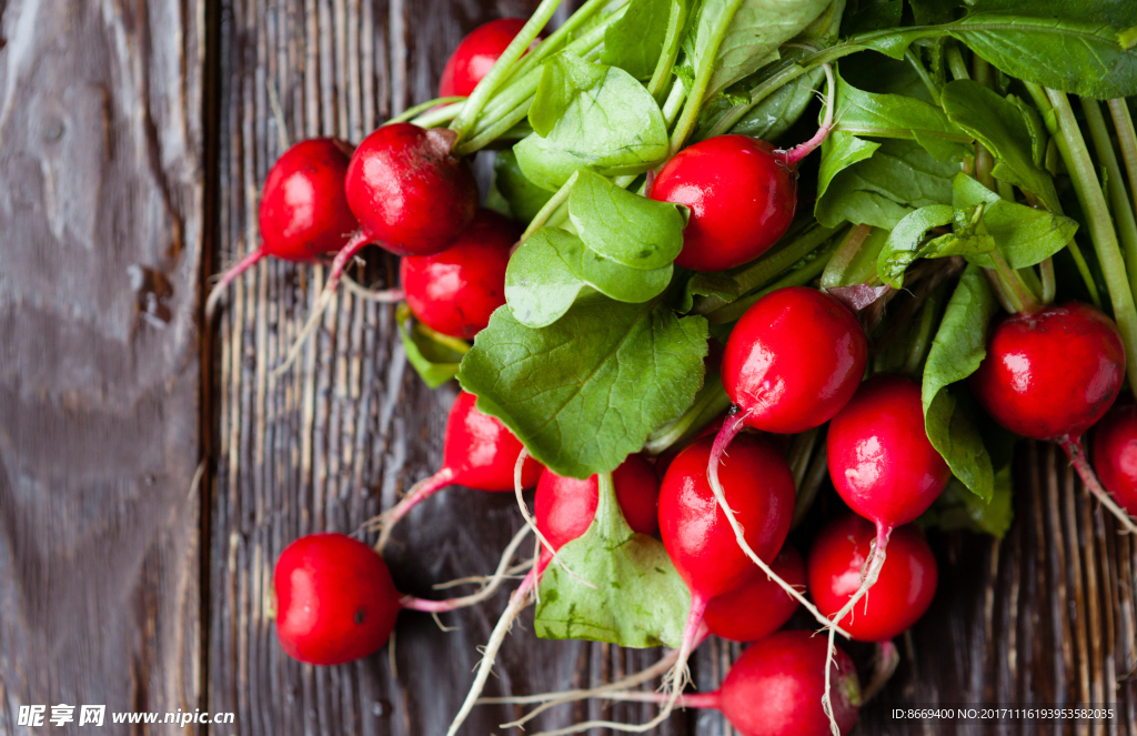 红萝卜水萝卜特写