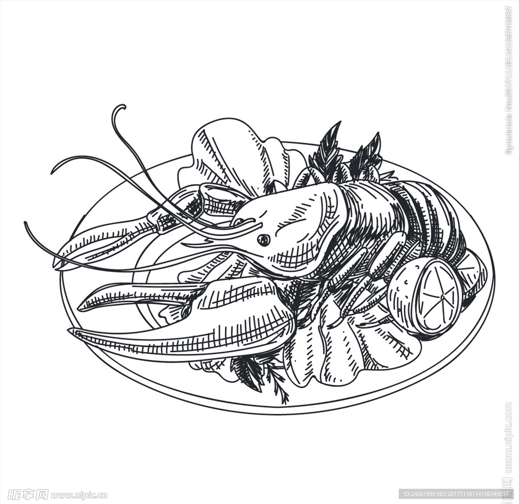 龙虾海贝矢量素材