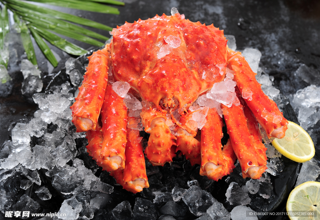 帝王蟹 大闸蟹 海鲜