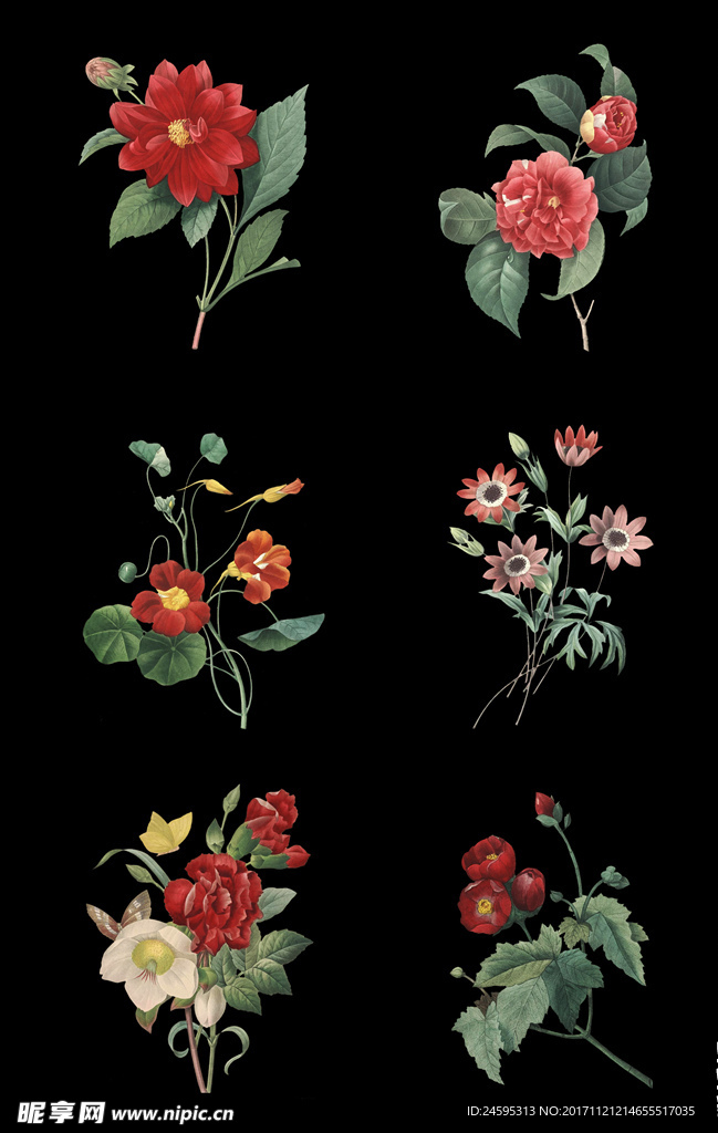 唯美手绘鲜花素材