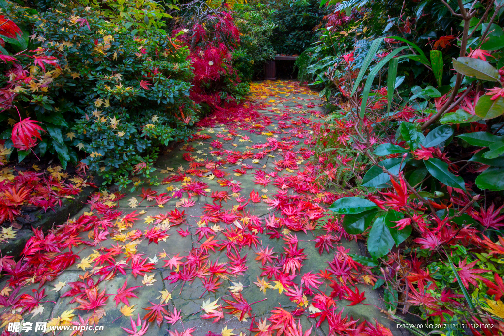 英格兰庭园秋季风景