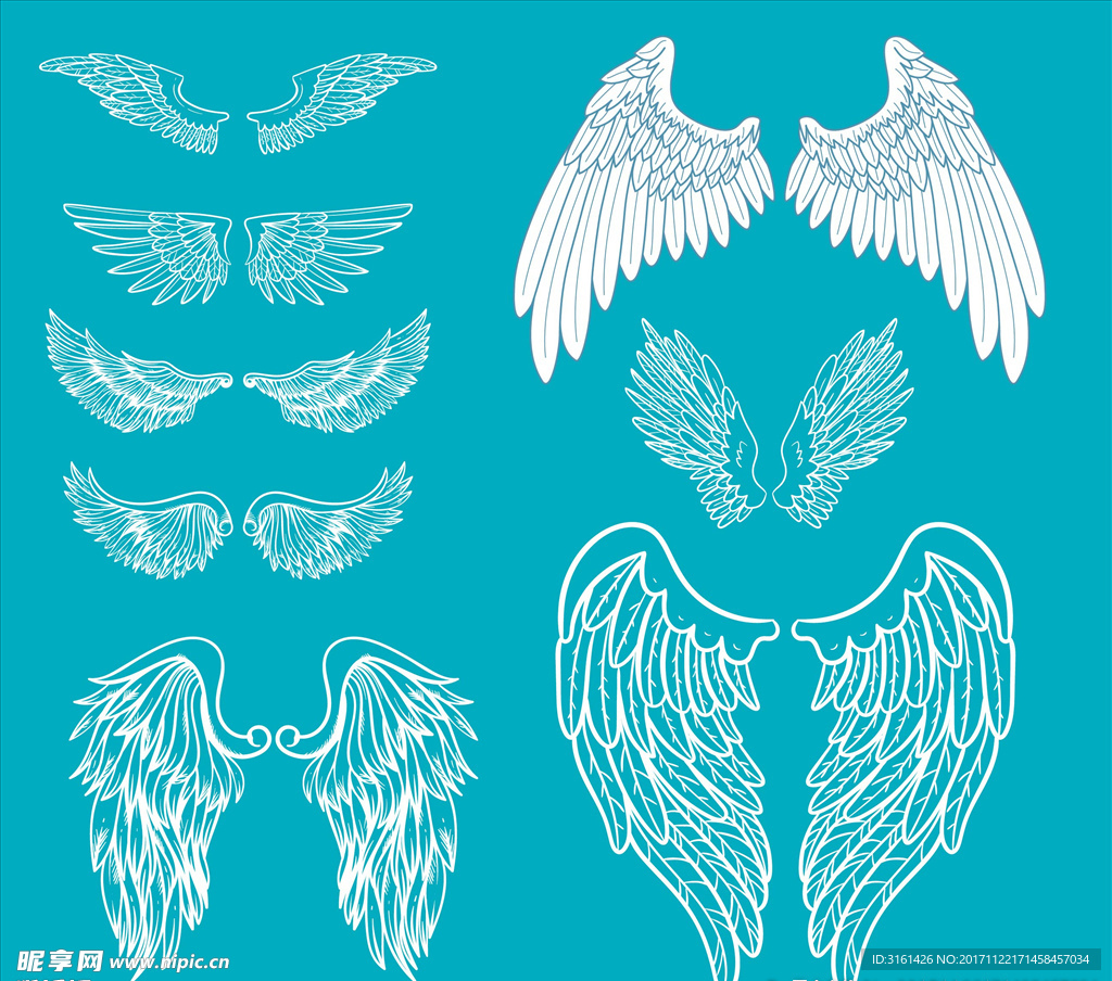 矢量翅膀
