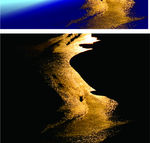 沙滩 金沙滩 自然元素