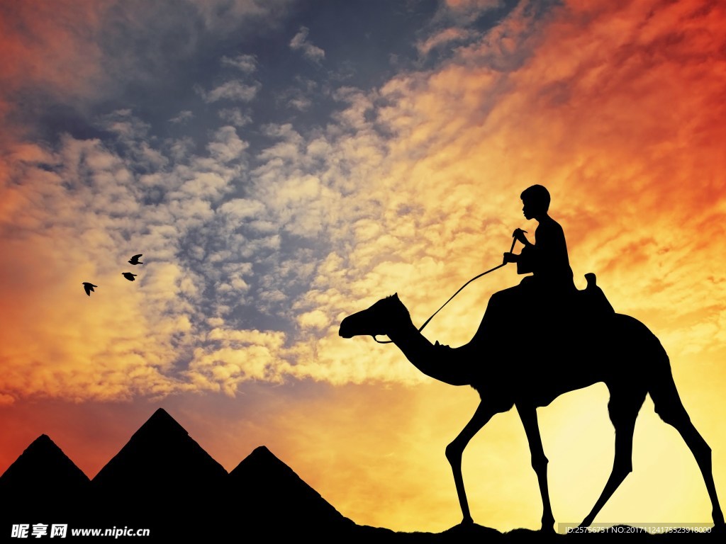 夕阳下的骆驼行人