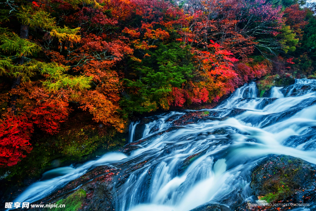 瀑布秋季树苔大自然