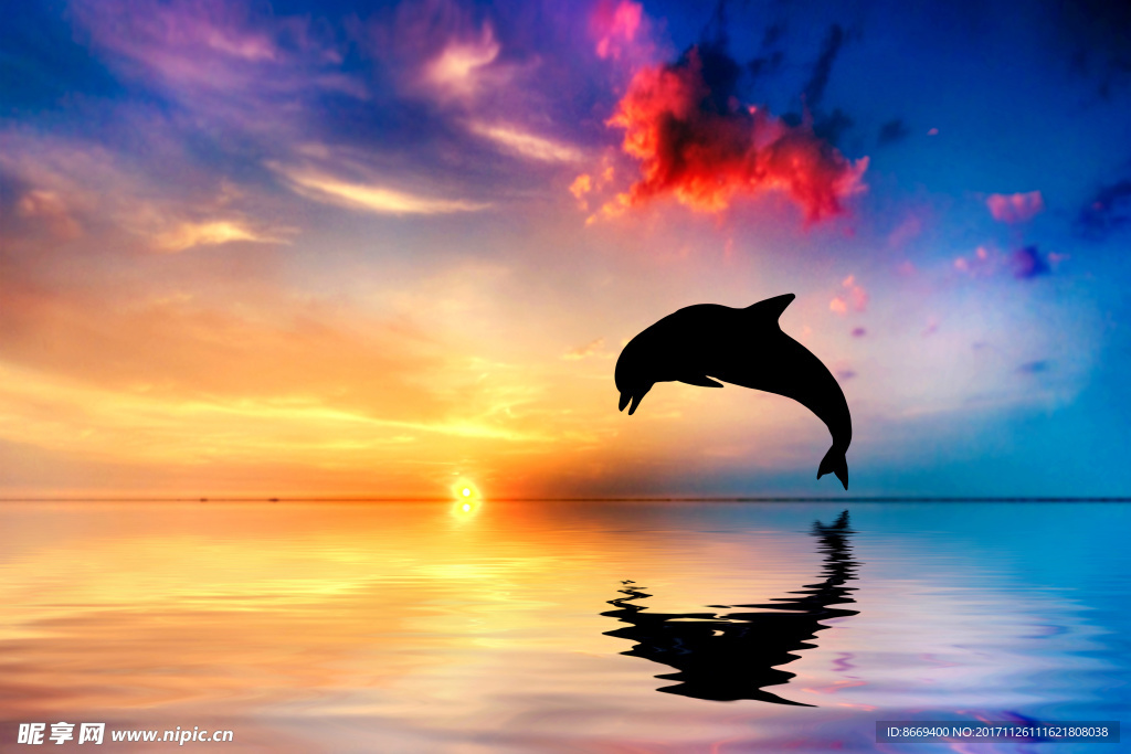 海豚跳出水面海洋日落